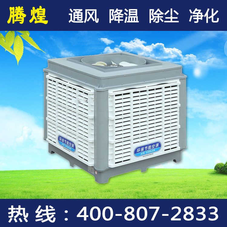 增城通风降温体育录像，任达华中山遇刺事件解密